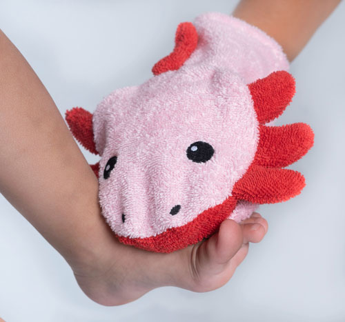Textbilder - Axolotl